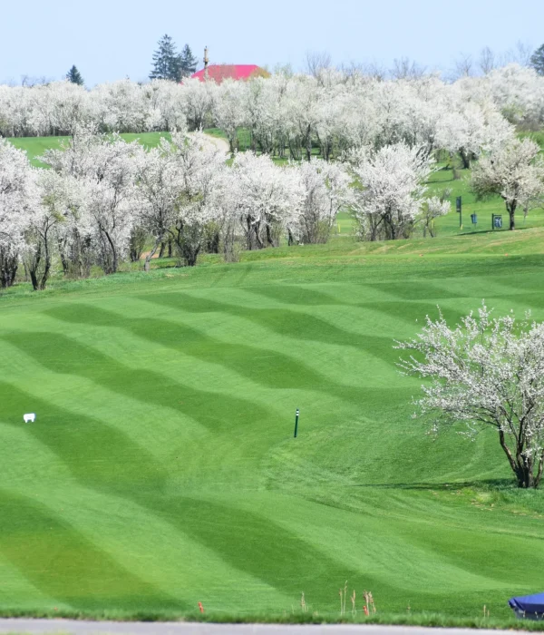 Bucharest Golf Course Spring